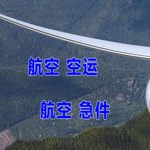 龙湾航空托运快递-选东方航空和上海航空