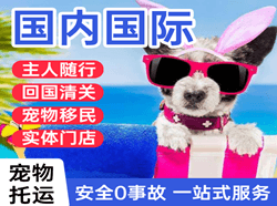 龙湾航空托运国际宠物托运 【国